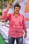 Balakrishna Birthday Celebrations  - 257 of 277