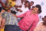 Balakrishna Birthday Celebrations  - 29 of 277