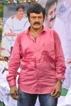 Balakrishna Birthday Celebrations  - 286 of 277