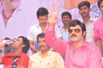 Balakrishna Birthday Celebrations  - 210 of 277