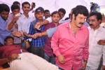 Balakrishna Birthday Celebrations  - 26 of 277