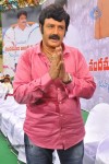 Balakrishna Birthday Celebrations  - 76 of 277