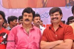 Balakrishna Birthday Celebrations  - 78 of 277