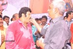 Balakrishna Birthday Celebrations  - 123 of 277