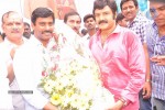 Balakrishna Birthday Celebrations  - 130 of 277