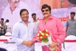 Balakrishna Birthday Celebrations  - 131 of 277