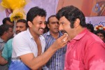 Balakrishna Birthday Celebrations  - 132 of 277