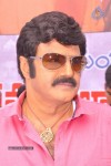 Balakrishna Birthday Celebrations  - 135 of 277