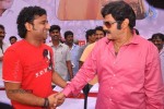 Balakrishna Birthday Celebrations  - 136 of 277