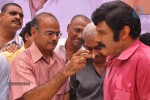 Balakrishna Birthday Celebrations  - 137 of 277