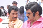 Balakrishna Birthday Celebrations  - 143 of 277