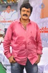 Balakrishna Birthday Celebrations  - 144 of 277