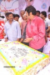 Balakrishna Birthday Celebrations  - 148 of 277