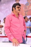 Balakrishna Birthday Celebrations  - 171 of 277