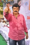 Balakrishna Birthday Celebrations  - 177 of 277