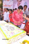 Balakrishna Birthday Celebrations  - 193 of 277