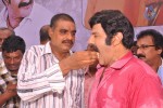 Balakrishna Birthday Celebrations  - 197 of 277