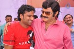 Balakrishna Birthday Celebrations  - 201 of 277