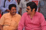 Balakrishna Birthday Celebrations  - 205 of 277