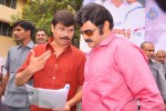 Balakrishna Birthday Celebrations  - 208 of 277