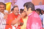 Balakrishna Birthday Celebrations  - 214 of 277