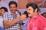 Balakrishna Birthday Celebrations  - 216 of 277