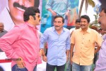 Balakrishna Birthday Celebrations  - 230 of 277