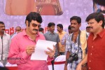 Balakrishna Birthday Celebrations  - 234 of 277