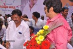 Balakrishna Birthday Celebrations  - 247 of 277