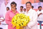 Balakrishna Birthday Celebrations  - 266 of 277