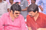 Balakrishna Birthday Celebrations  - 270 of 277