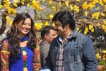 Srimannarayana Movie Opening - 133 of 130