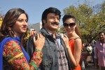 Srimannarayana Movie Opening - 137 of 130