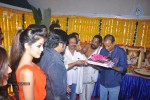 Srimannarayana Movie Opening - 92 of 130
