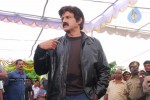 Balakrishna New Movie Opening Photos - 1 of 83