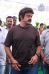 Balakrishna New Movie Opening Photos - 49 of 83