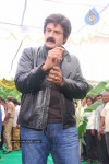 Balakrishna New Movie Opening Photos - 54 of 83