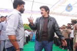 Balakrishna New Movie Opening Photos - 71 of 83