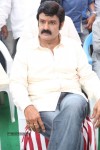 Balakrishna New Movie Opening Photos - 37 of 71