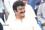 Balakrishna New Movie Opening Photos - 39 of 71