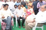 Balakrishna New Movie Opening Photos - 48 of 71