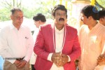 Balakrishna New Movie Opening Photos - 53 of 71