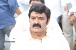 Balakrishna New Movie Opening Photos - 62 of 71