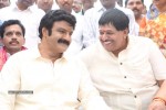 Balakrishna New Movie Opening Photos 02 - 127 of 214