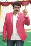 Balakrishna New Movie Opening Photos 02 - 147 of 214