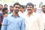 Balakrishna New Movie Opening Photos 02 - 165 of 214