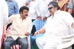 Balakrishna New Movie Opening Photos 02 - 184 of 214