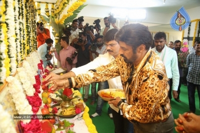 Balakrishna New Movie Opening - 26 of 53