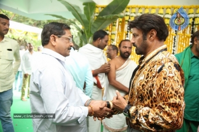 Balakrishna New Movie Opening - 27 of 53