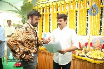 Balakrishna New Movie Opening - 28 of 53